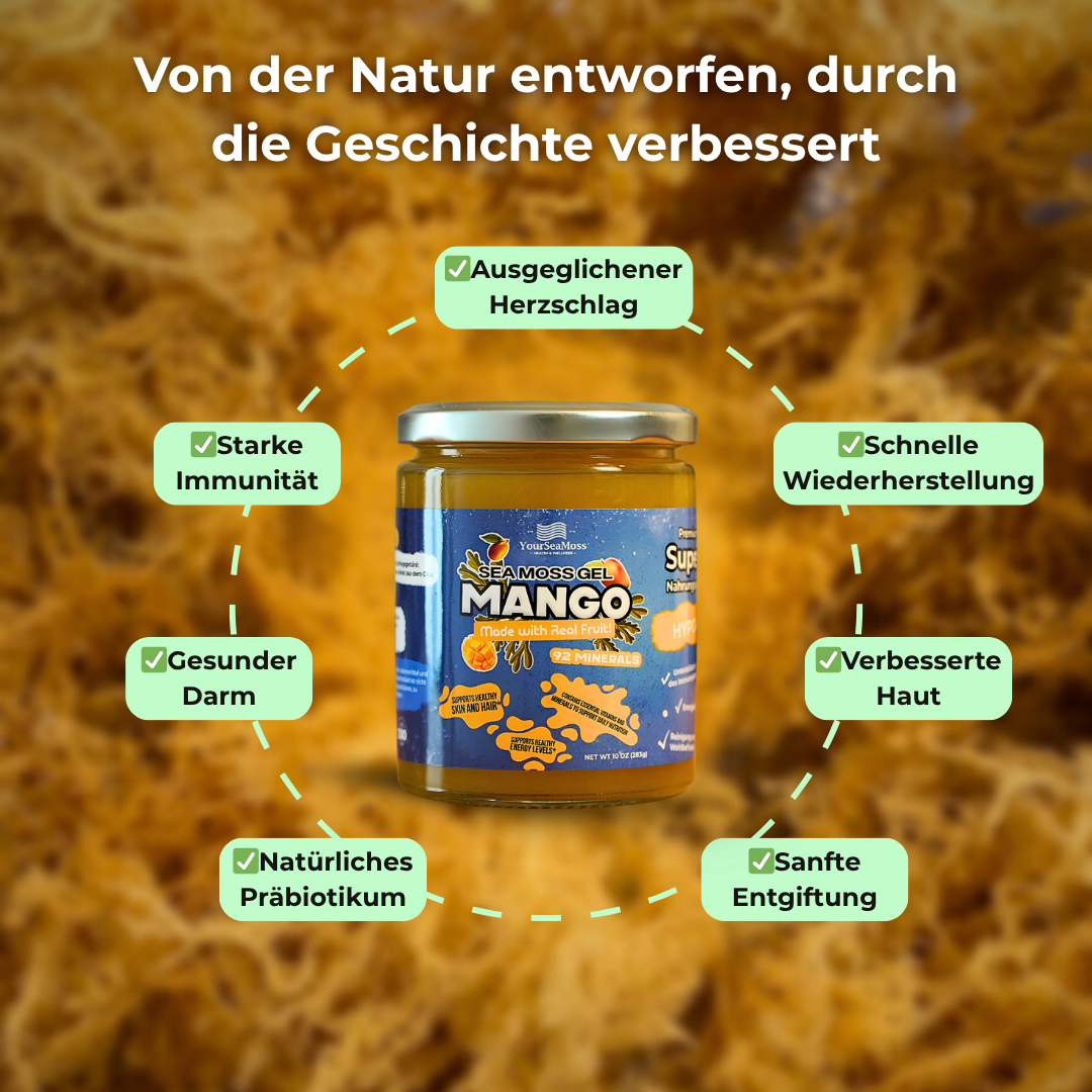 Your Sea Moss Gel Superfood